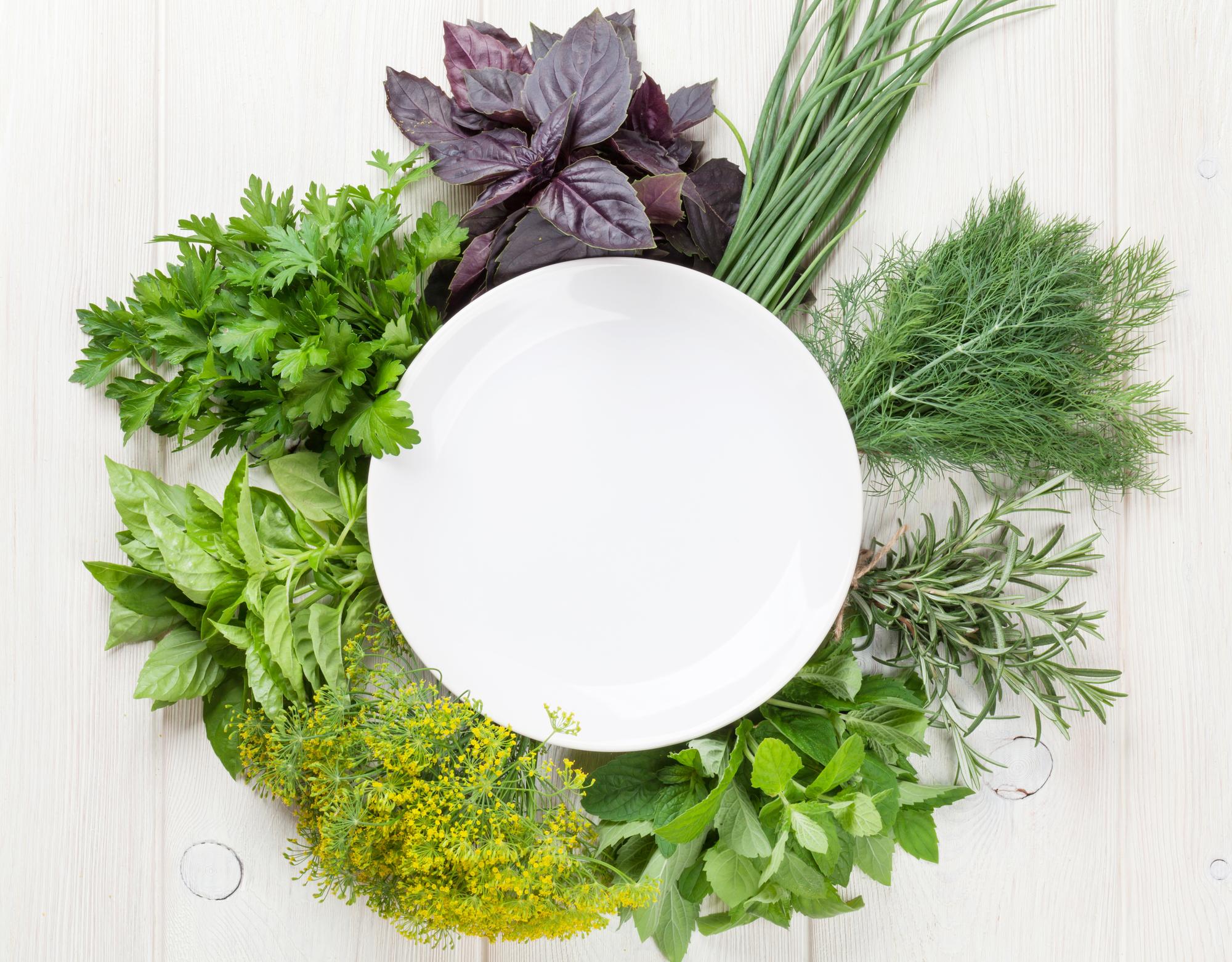 Close-up plated dish with fresh herbs